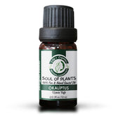 Edys Organics Okaliptus Uçucu Yağı 10 ml