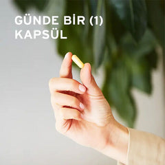 Solgar Vitamin B-Complex 50 - 100 Bitkisel Kapsül