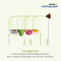 PhytoSleep Gummies 30'lu