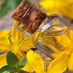 Dr.Plante Sarı Kantaron Yağı 50 ml