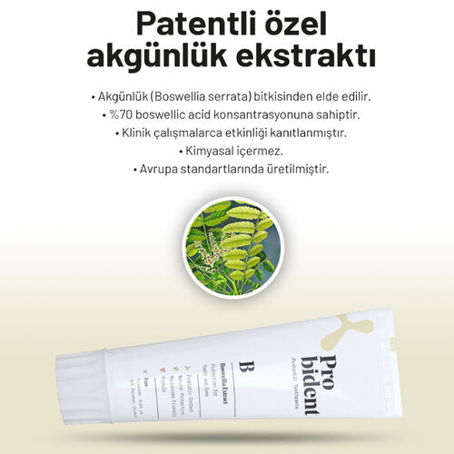 Probident Akgünlük Özüt İlaveli Diş Macunu 75 ml