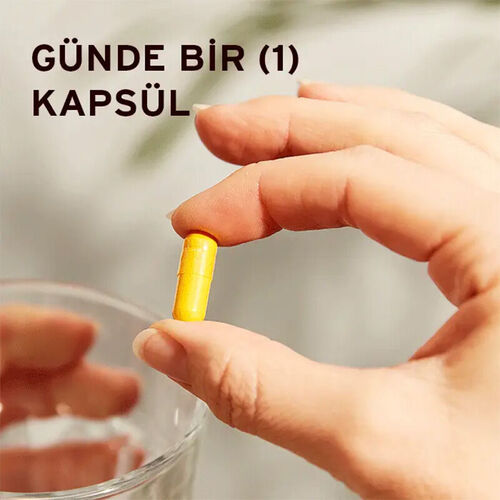 Solgar Turmeric Root Extract 60 Bitkisel Kapsül