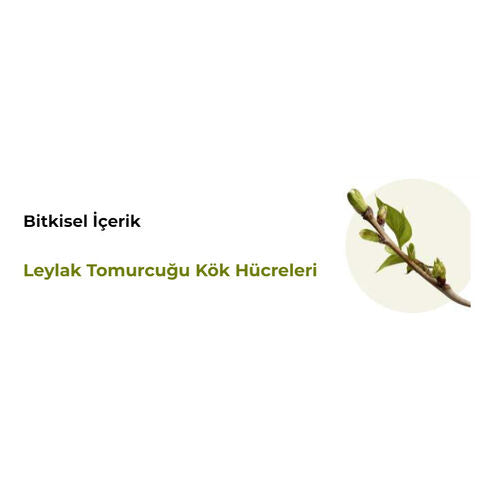 Yves Rocher Anti-Age Global Çift Fazlı Gece Serumu 30 ml